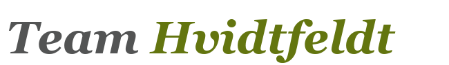 HVIDTFELDT CONSULT